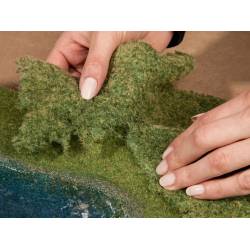 Noch 07272 - feuillage d'herbes sauvages