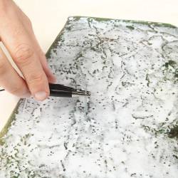 Noch 08324 - Scatter Grass