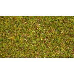 Noch 08330 - Streugras “Blumenwiese”