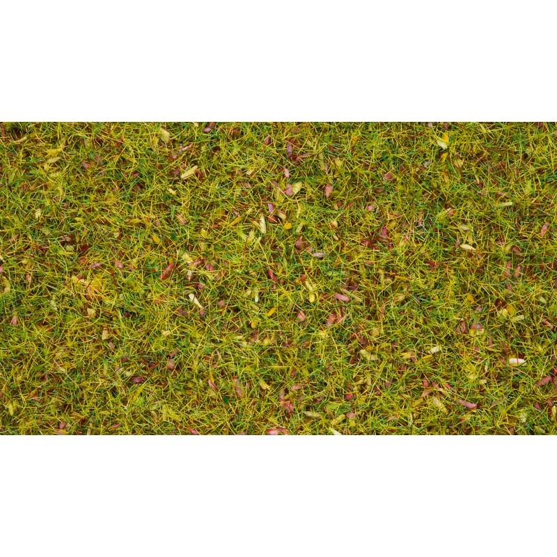 Noch 08330 - Flocages gazon dispersé « Prairie fleurie »