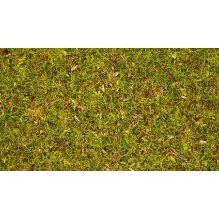 Noch 08330 - Flocages gazon dispersé « Prairie fleurie »