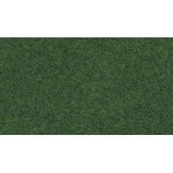 Noch 07081 - herbe sauvage