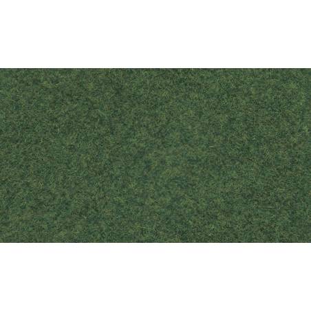 Noch 08322 - Scatter Grass