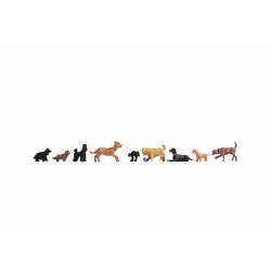 Noch 15719 - Dogs H0