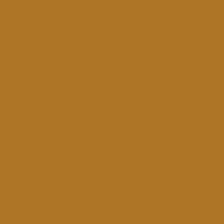 Vallejo Model Color - PRINCE AUGUST - Peinture à maquette 127 - Ocre Marron
